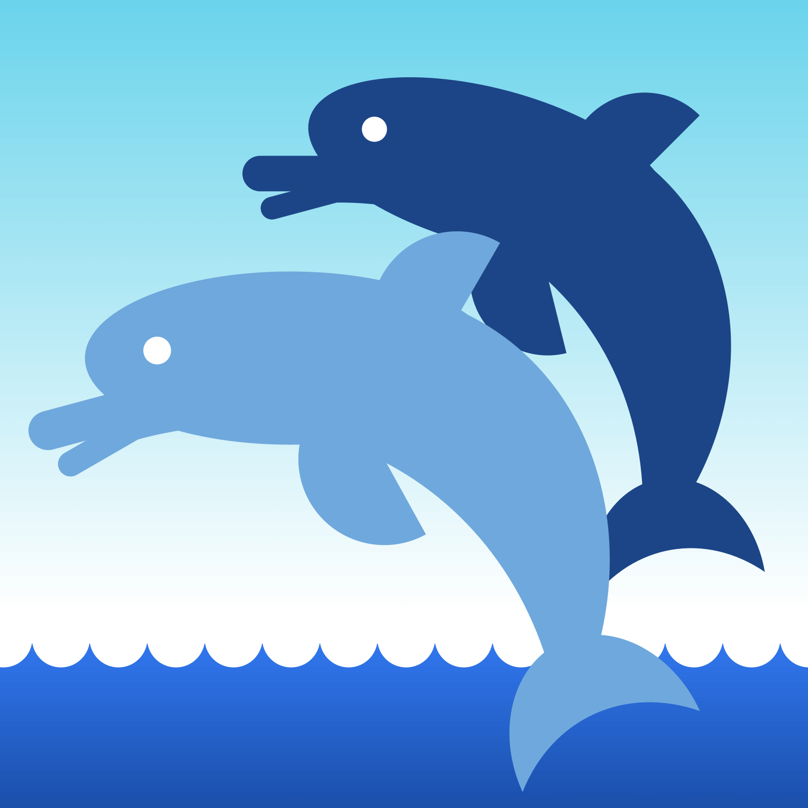 Two Dolphins Jumping