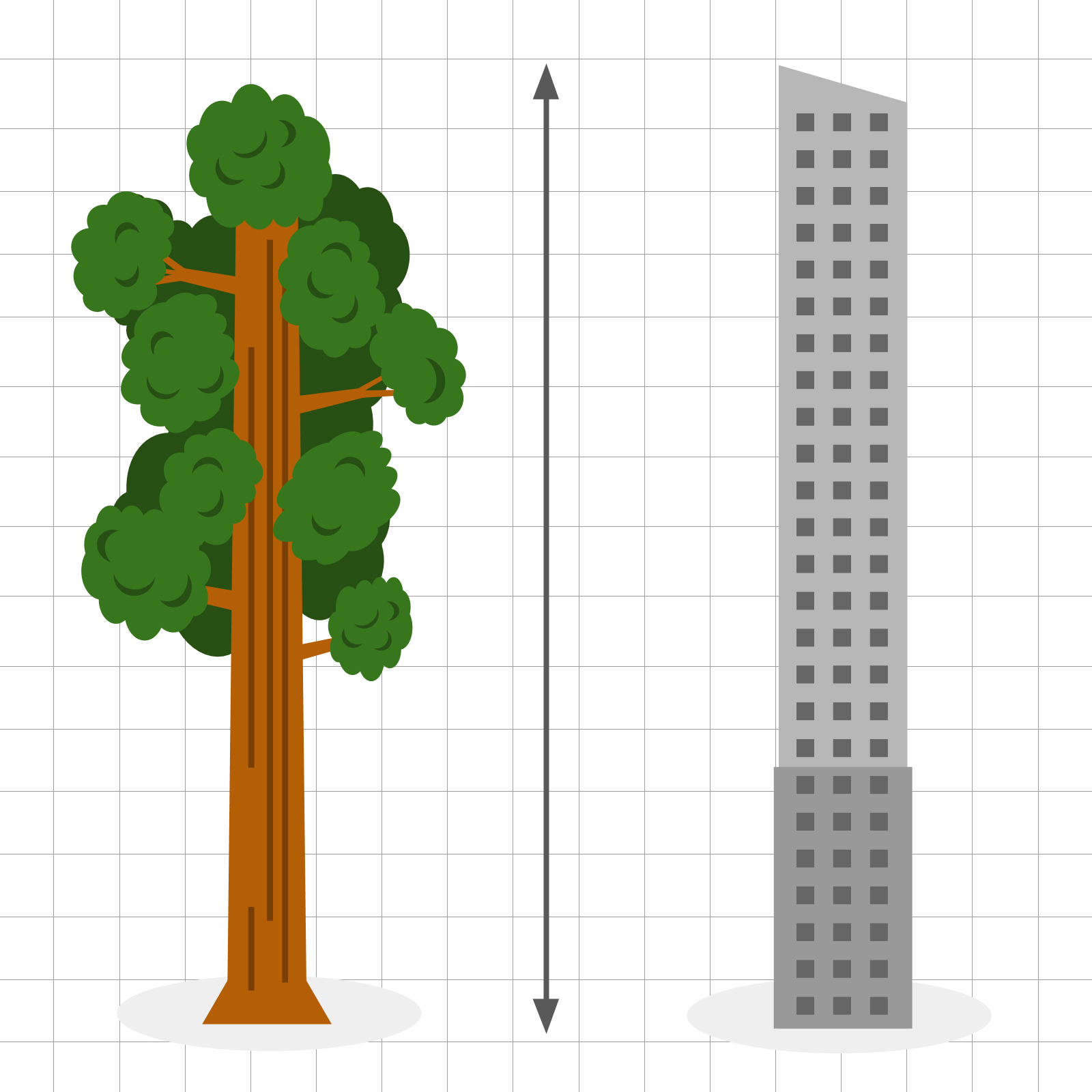 Shapegrams 12: Giant Sequoia and Building